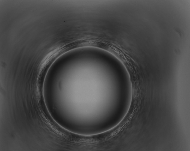 X0000090880245200708031037