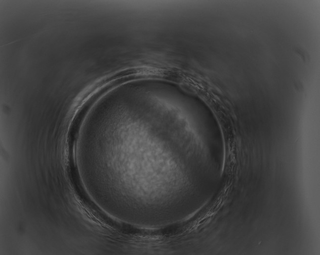 X0000090880247200708031037
