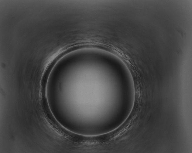 X0000090880248200708031037