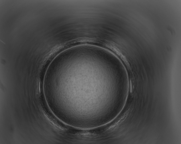 X0000090880253200708031037
