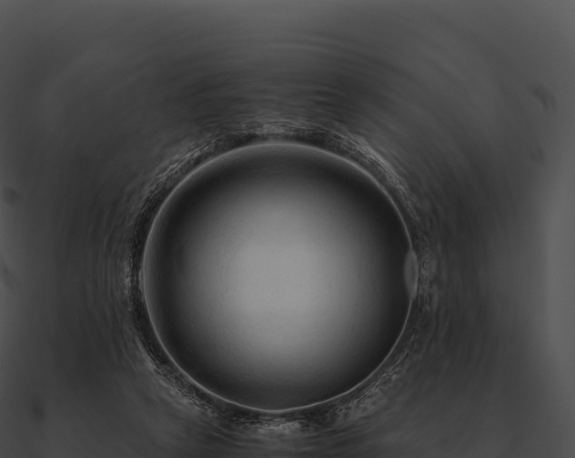 X0000090880257200708031037