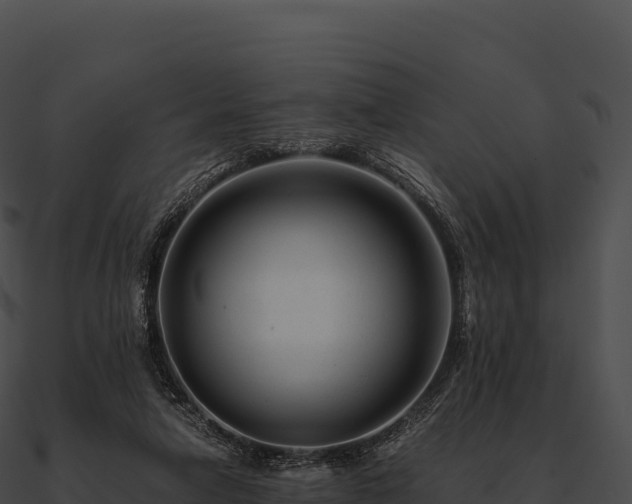 X0000090880258200708031037