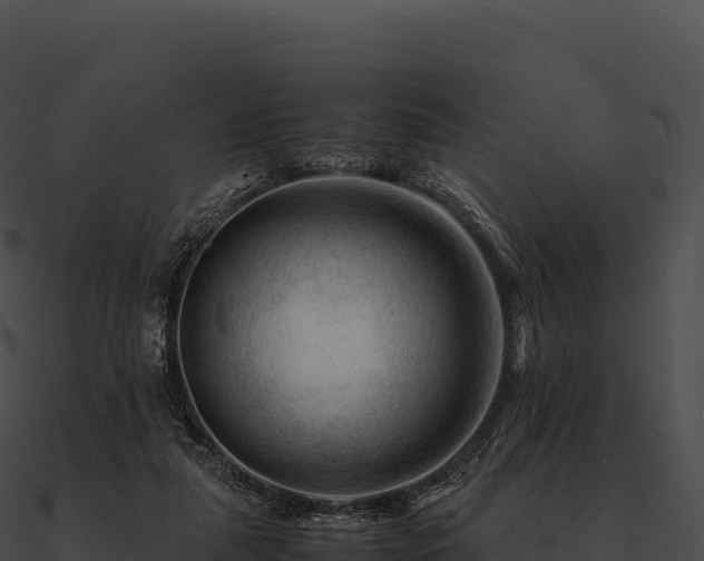 X0000090880259200708031037