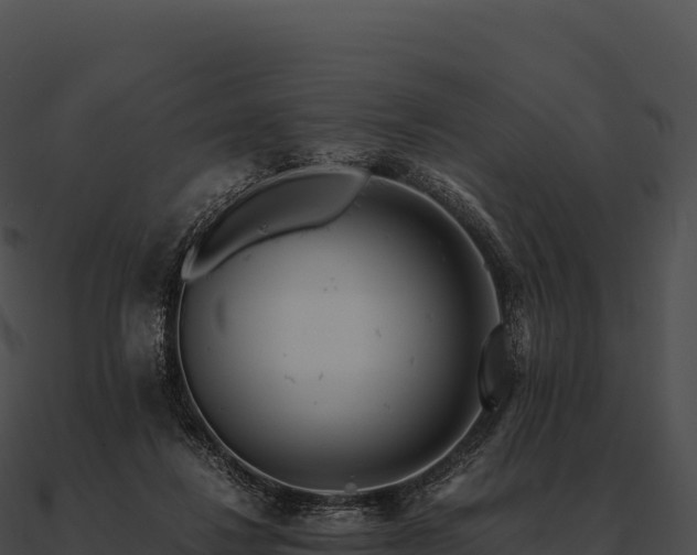 X0000090880260200708031037