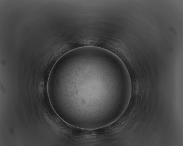 X0000090880263200708031037