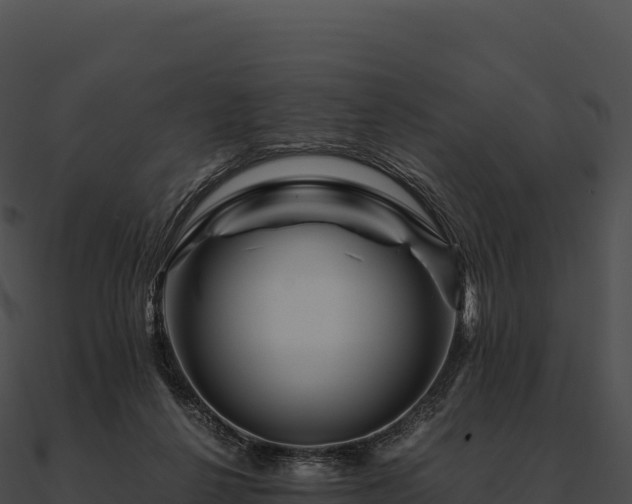 X0000090880264200708031038
