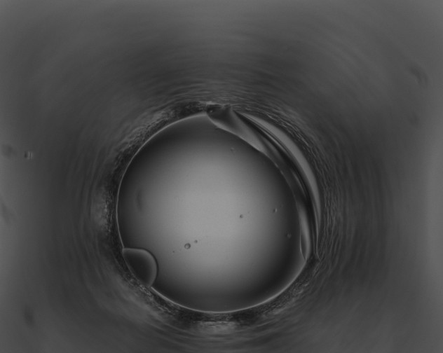 X0000090880266200708031038