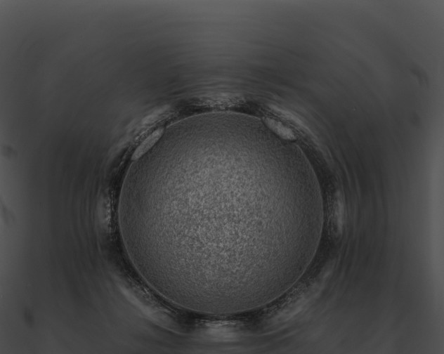 X0000090880268200708031038