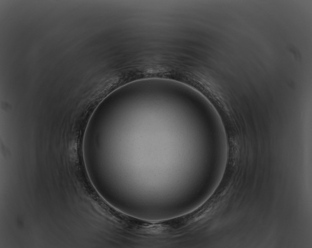 X0000090880269200708031038