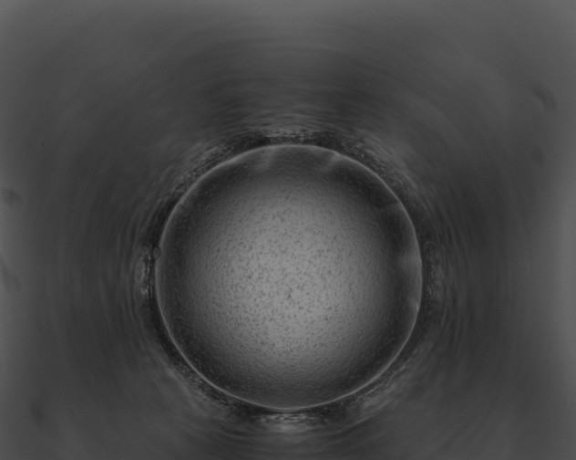 X0000090880273200708031038