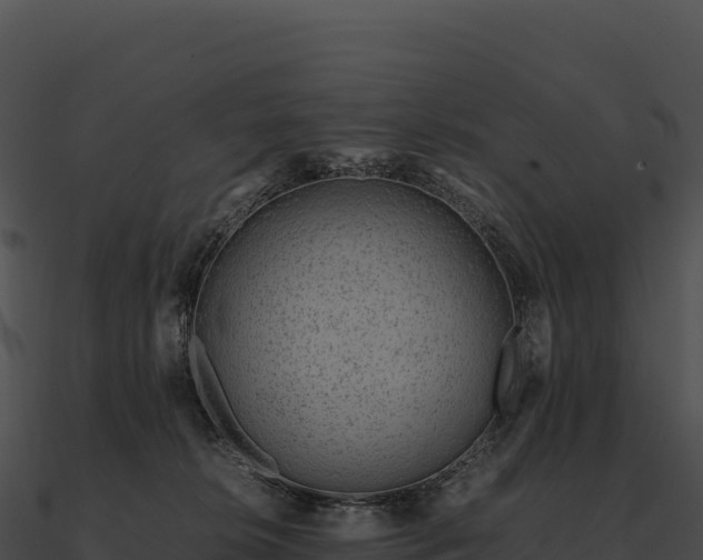 X0000090880276200708031038