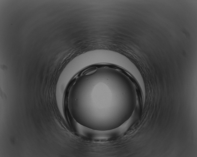 X0000090880280200708031038