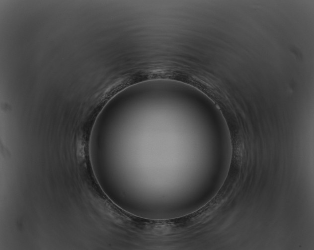 X0000090880282200708031038