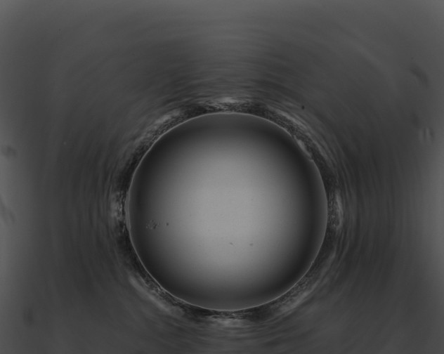 X0000090880284200708031038