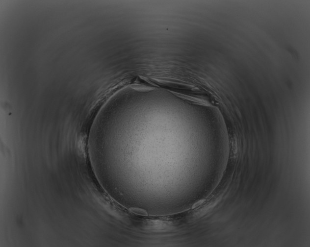 X0000090880286200708031038