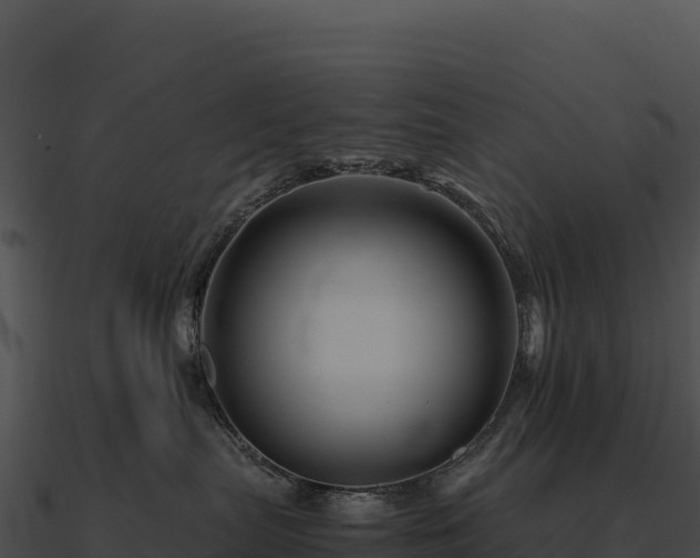 X0000090880287200708031038