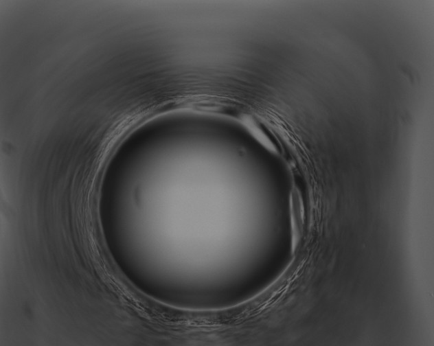 X0000090880289200708031037
