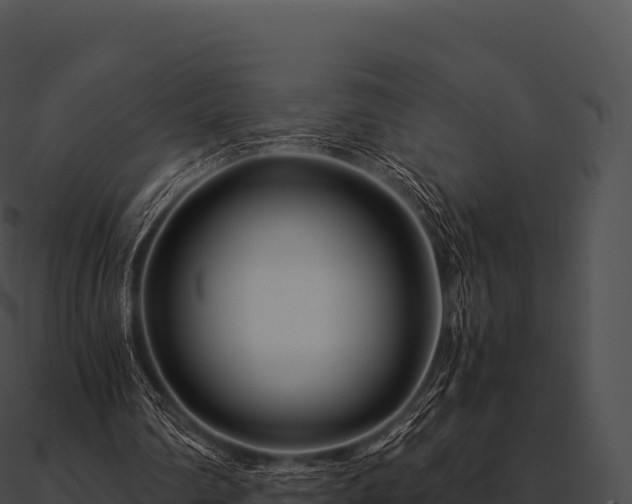 X0000090880290200708031037