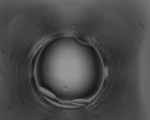 X0000090880291200708031037