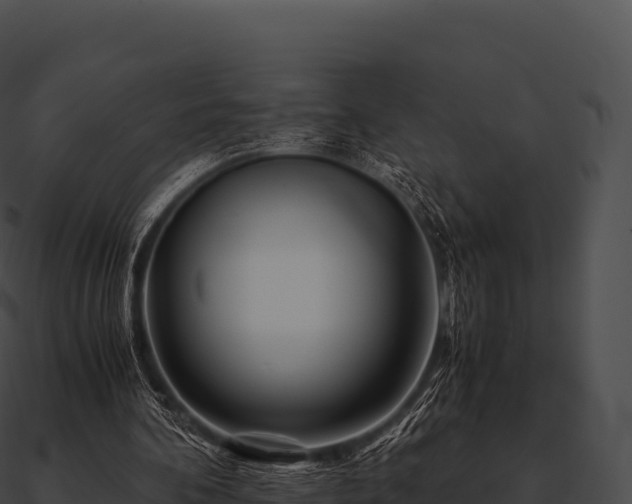 X0000090880292200708031037