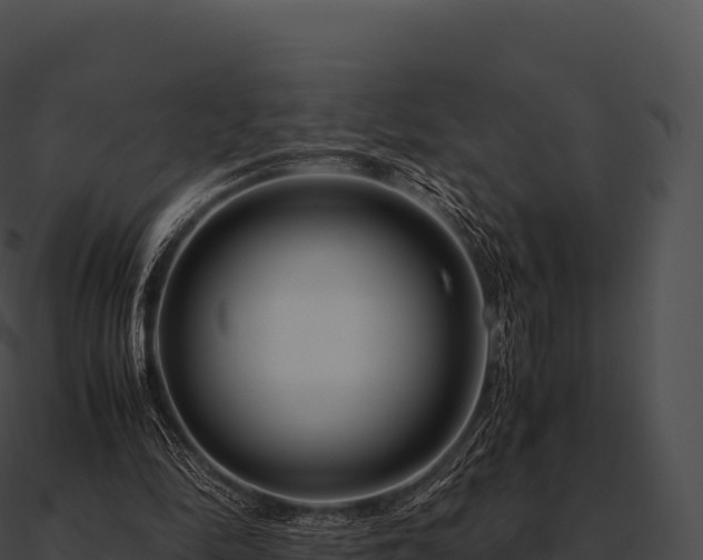 X0000090880294200708031037