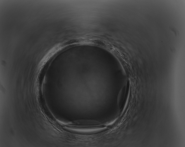 X0000090880295200708031037