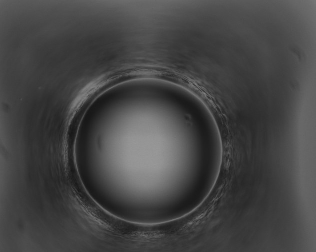 X0000090880296200708031037