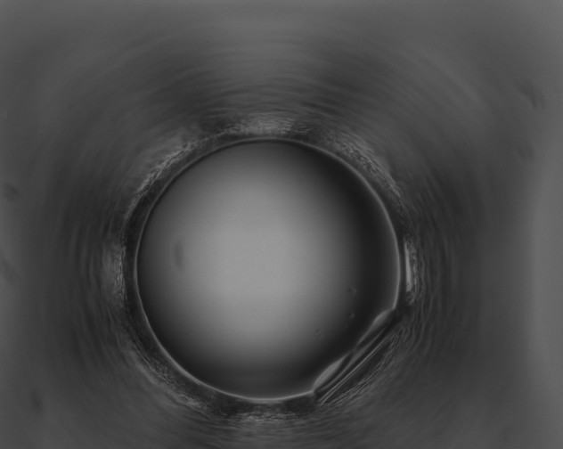 X0000090880300200708031037