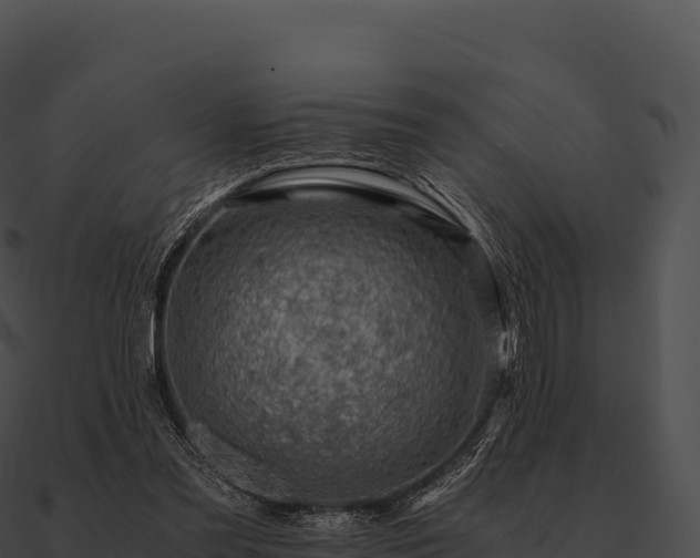 X0000090880301200708031037