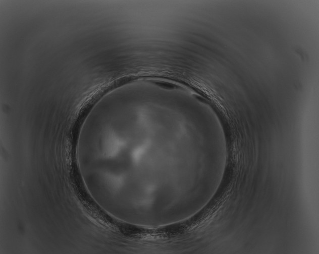 X0000090880303200708031037