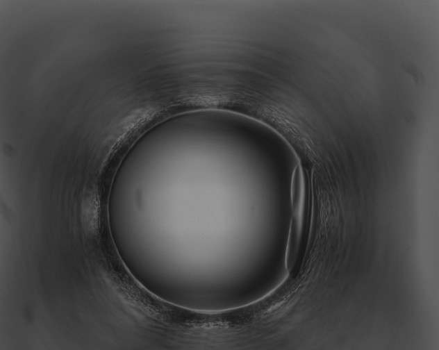 X0000090880304200708031037