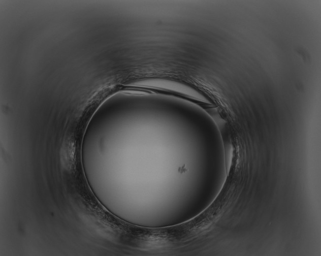 X0000090880308200708031037