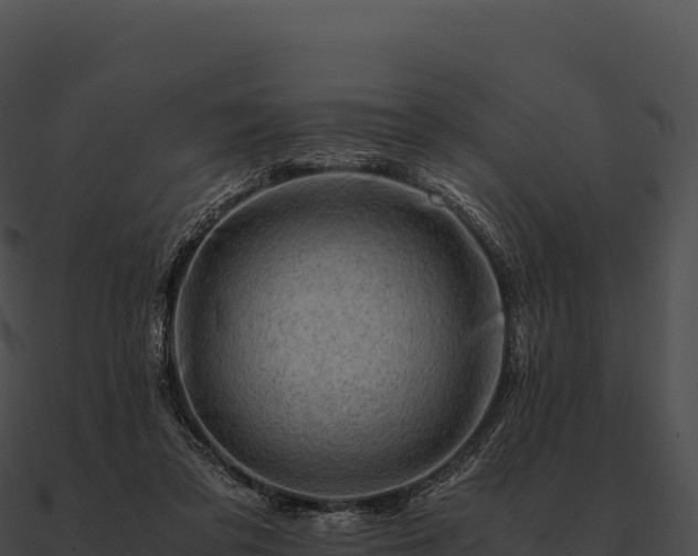 X0000090880309200708031037