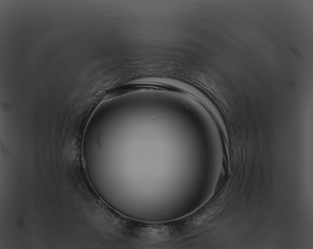 X0000090880317200708031036