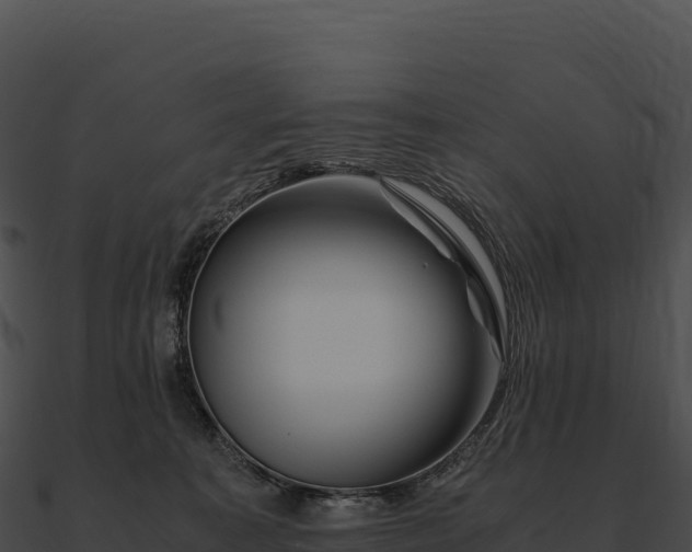 X0000090880323200708031036