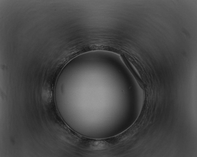 X0000090880324200708031036