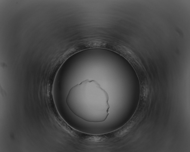X0000090880326200708031036