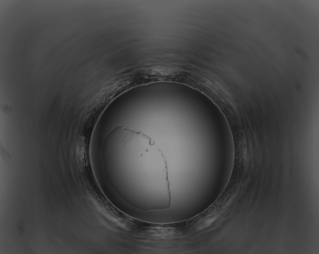 X0000090880328200708031036