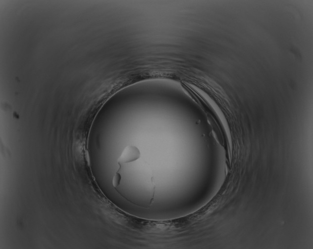 X0000090880329200708031036