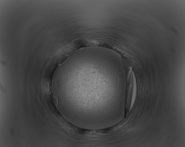 X0000090880331200708031036