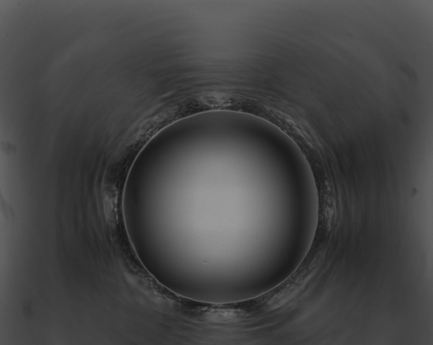 X0000090880332200708031036