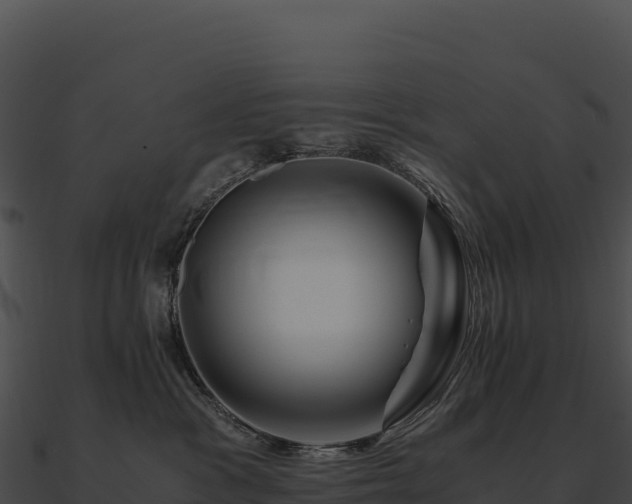 X0000090880333200708031036