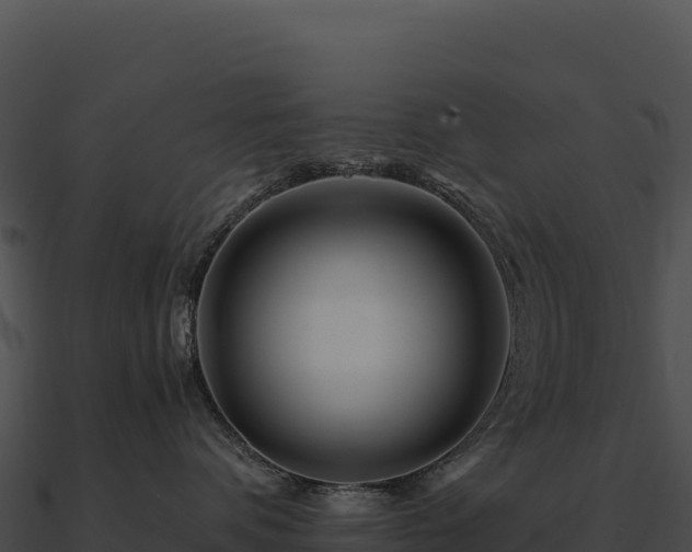 X0000090880336200708031036