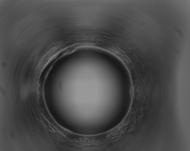 X0000090880338200708031036