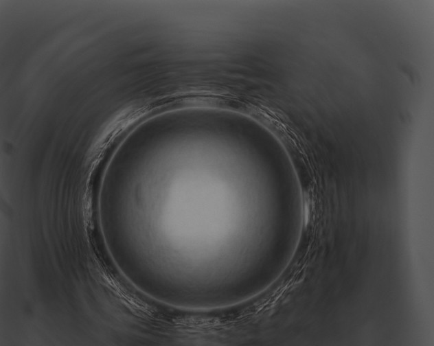 X0000090880339200708031036