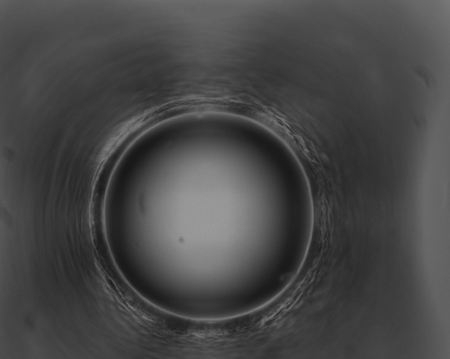 X0000090880340200708031036