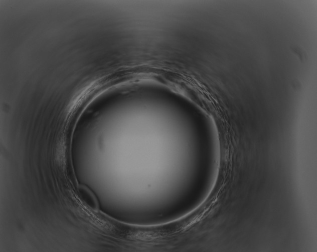 X0000090880341200708031036