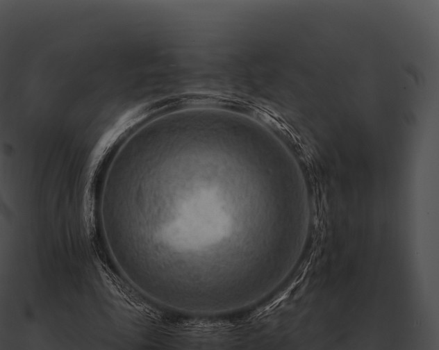 X0000090880343200708031036