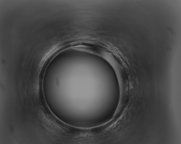 X0000090880344200708031036