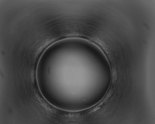 X0000090880345200708031036